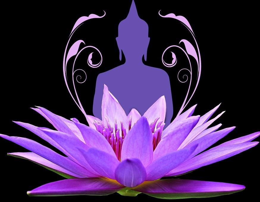 Buddha hinter lila Lotusblume, ruhe, mittig, gelassenheit, erhaben, transformation
