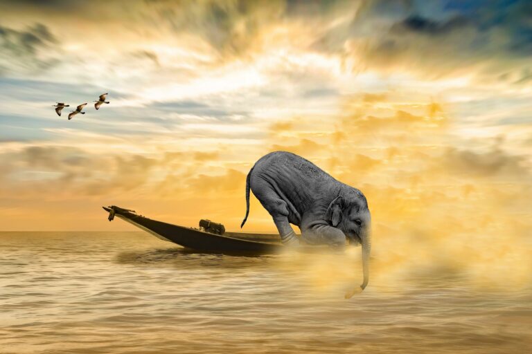 elefant auf boot mit rüssel im meer und fischt nach einer erdnuss