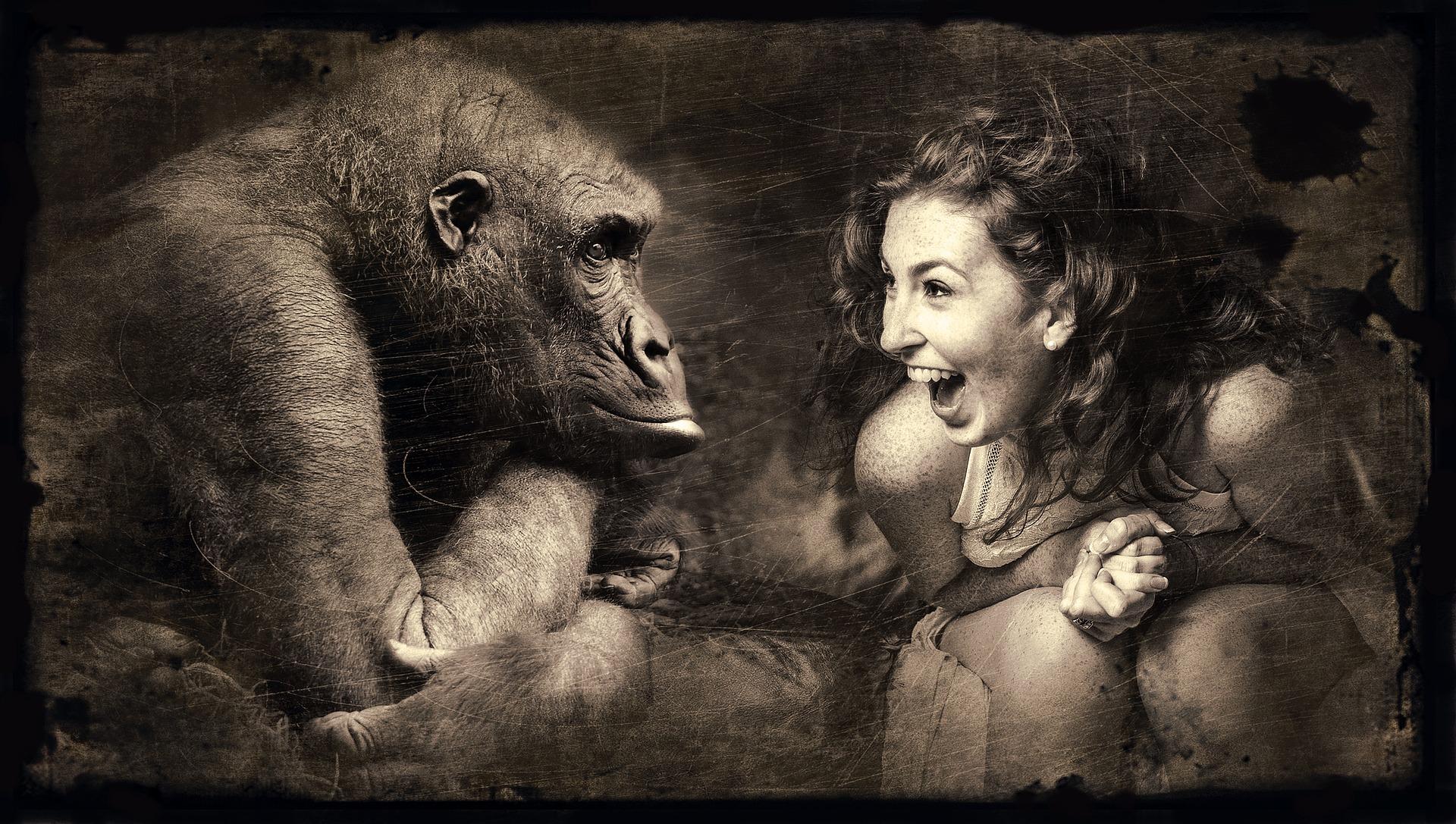 Frau begegnet einem Gorilla auf Augenhöhe als Symbol für innere Stärke, archaische Kraft und unbewusste Anteile.