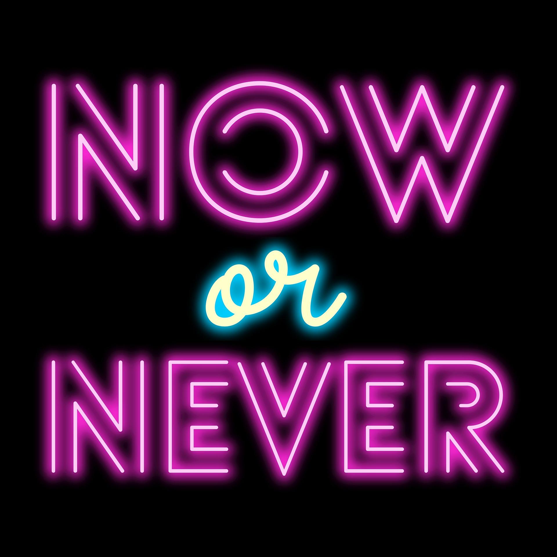 Neonschrift in lila und weiß-blau mit Text: now or never