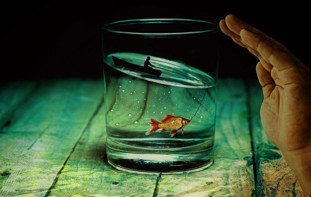 Fisch und Angler im Boot in einem Wasserglas; neue Perspektiven, neue Möglichkeiten, neue Wege